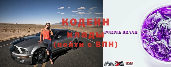 прущие грибы Алексеевка