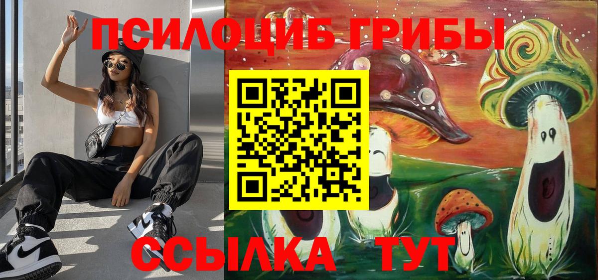 Галлюциногенные грибы прущие грибы  Галлюциногенные грибы мицелий  Вход с VPN  Михайловск 